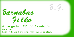 barnabas filko business card